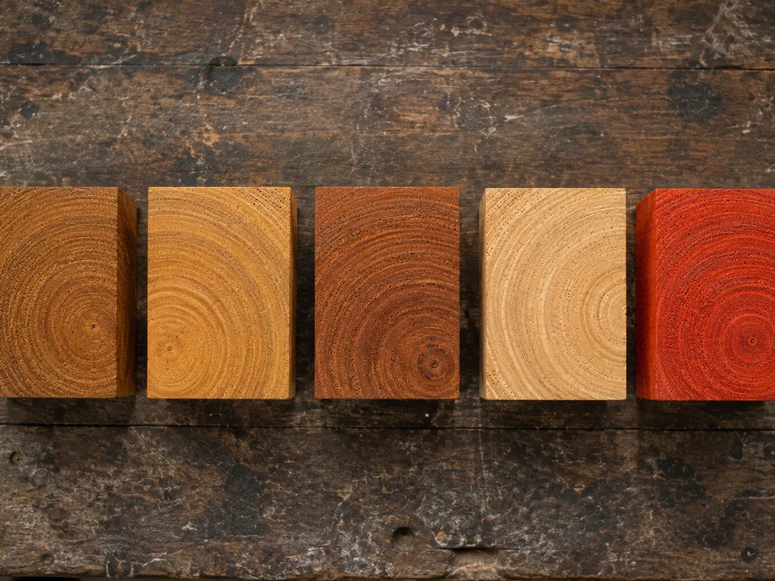 Five crosscut timber blocks in a row showing each species end grain, from golden teak to red padauk